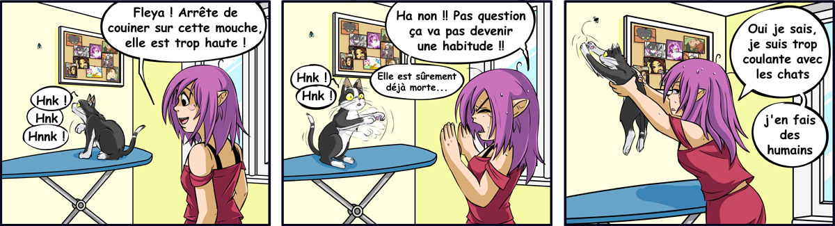 050201_mouche.jpg