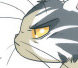 Desperate Housecat