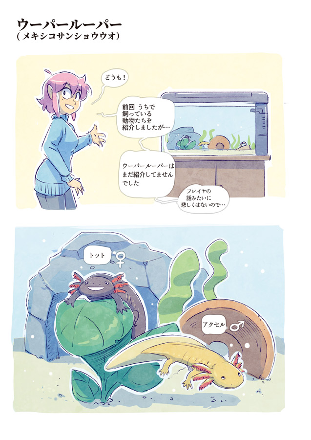 ウーパールーパー マリキ Webコミック